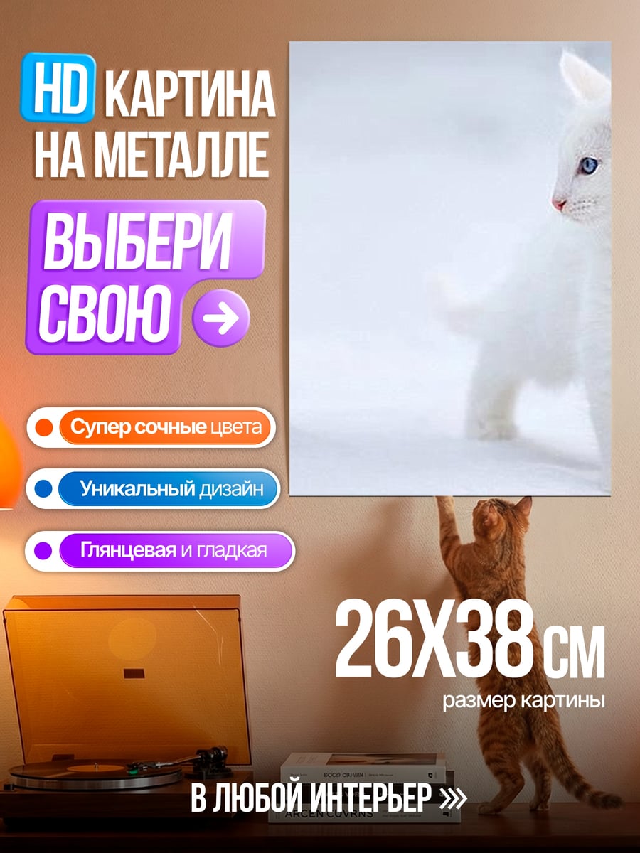 Картина на металле Белый кот на снегу