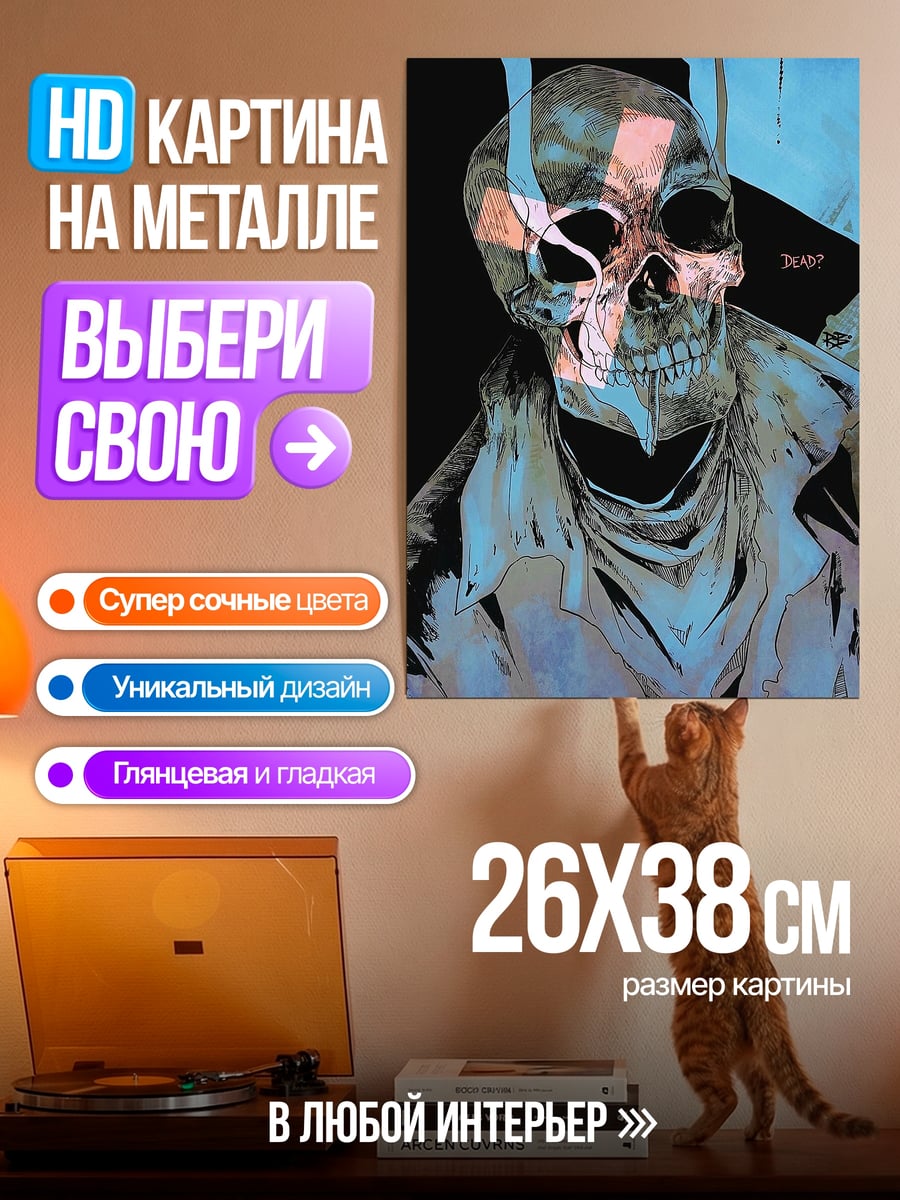 Картина на металле Череп в плаще