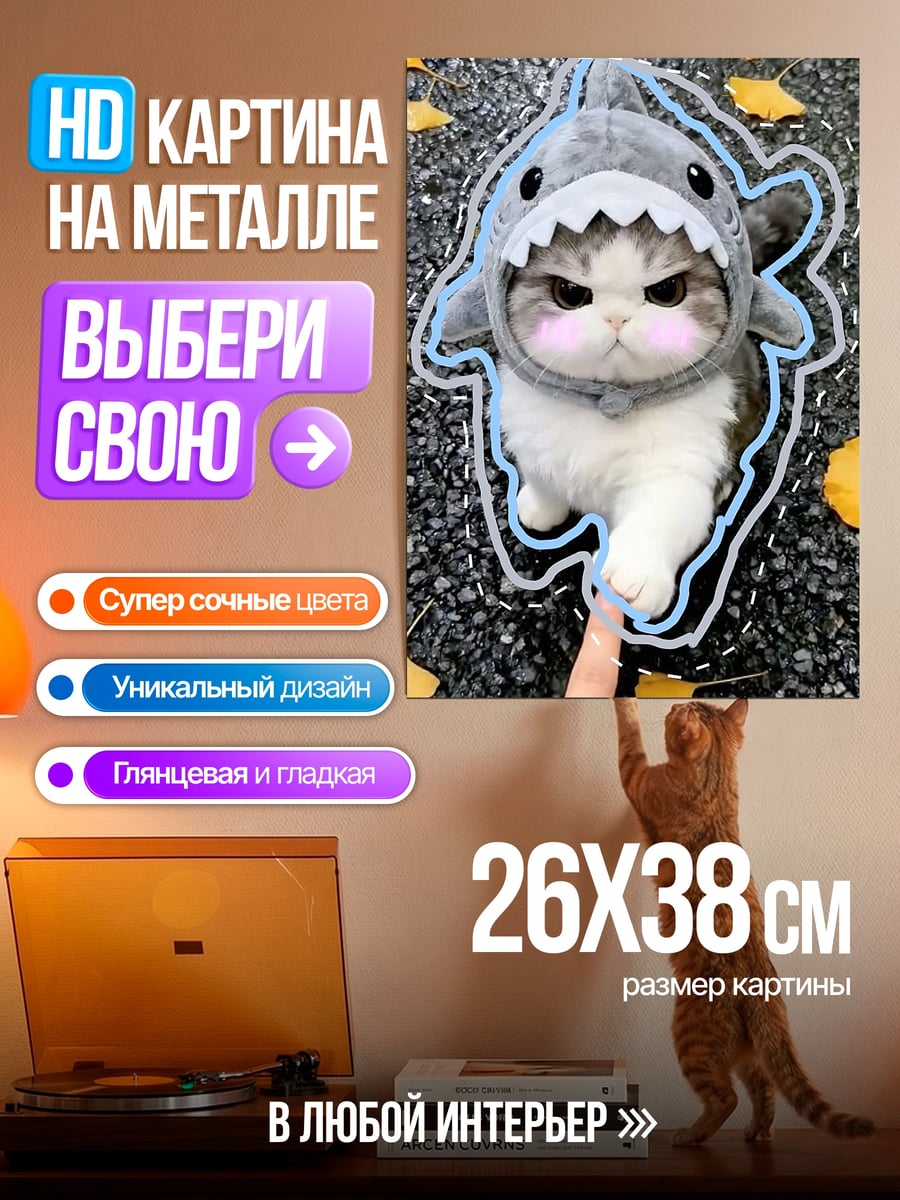 Картина на металле Кот в костюме акулы