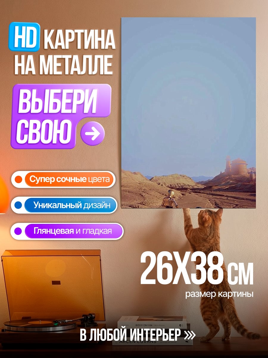 Картина на металле C-3PO и R2-D2