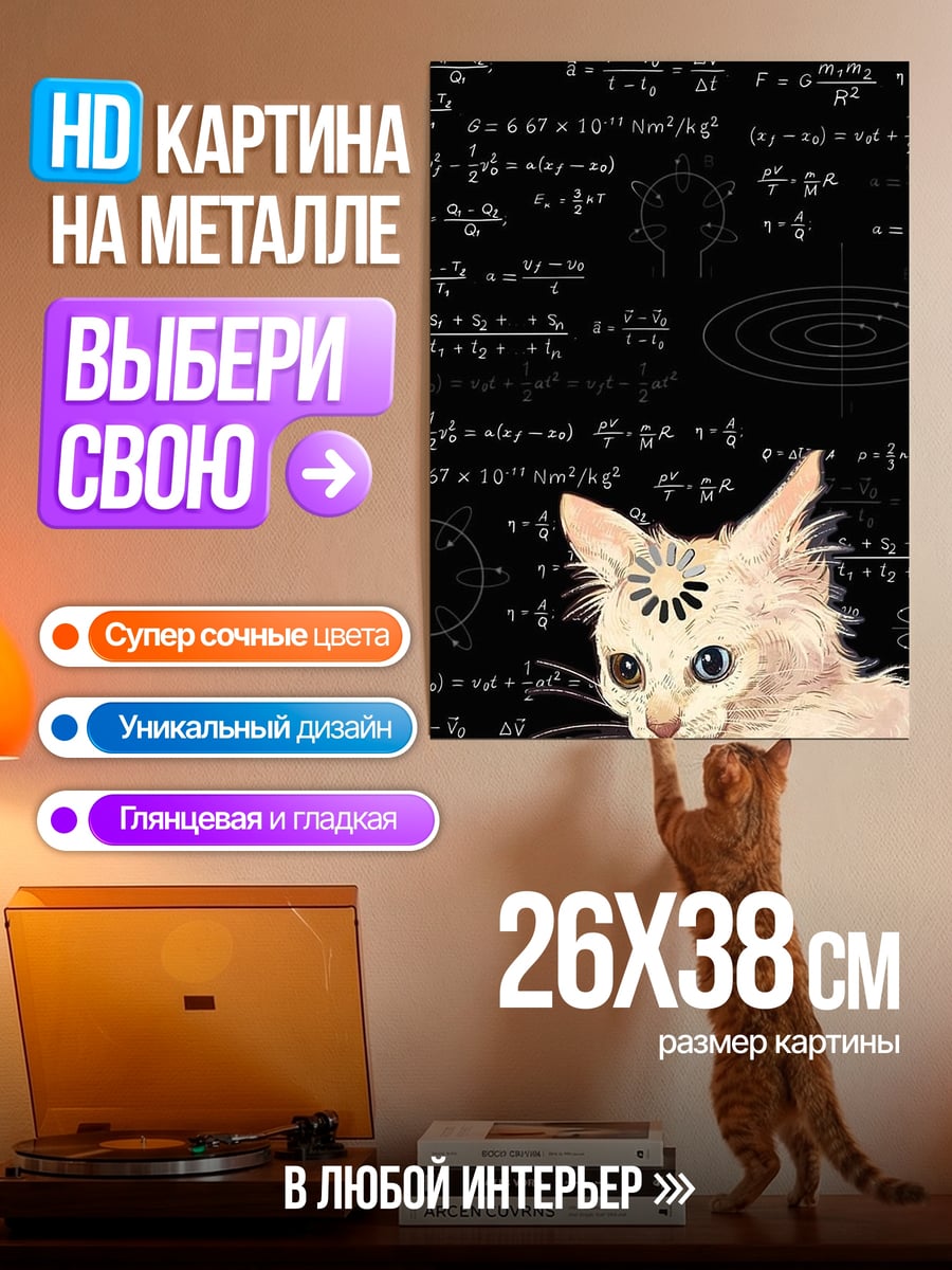 Картина на металле Кот и формулы