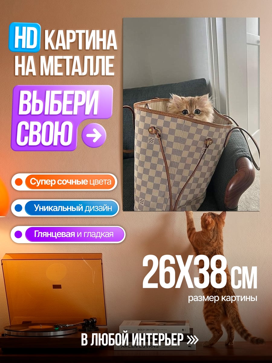 Картина на металле Кот в сумке