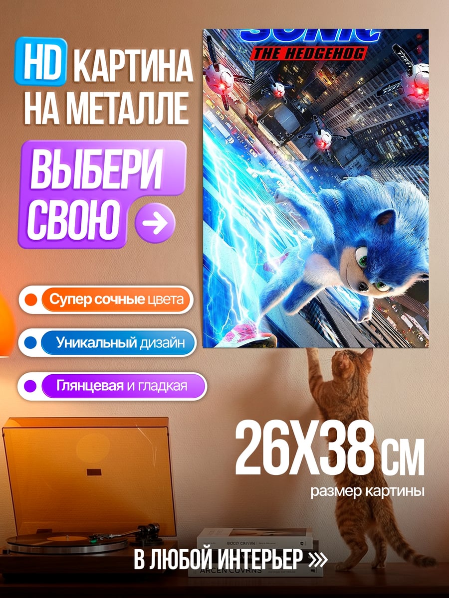 Картина на металле Соник в городе
