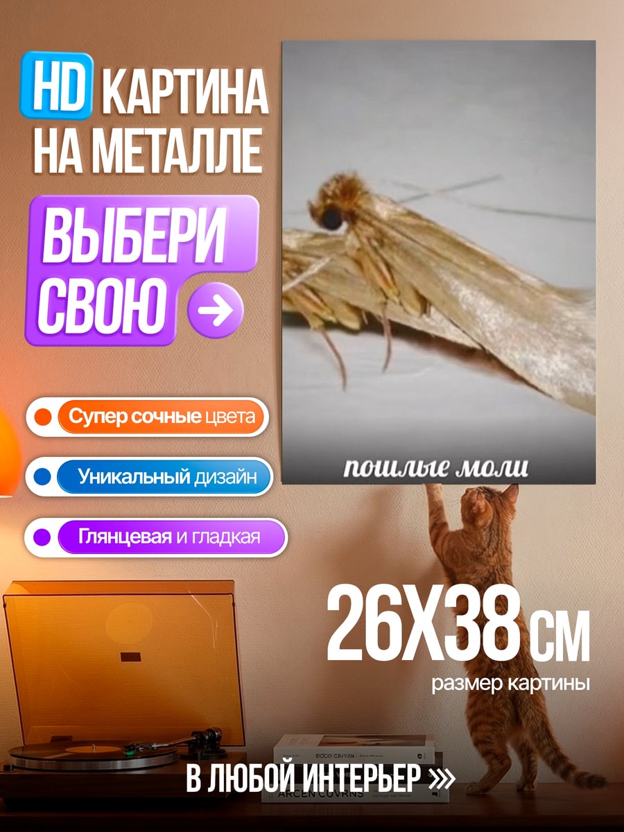 Картина на металле Пошлые моли