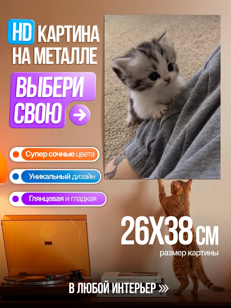 Картина на металле Котенок на коленях
