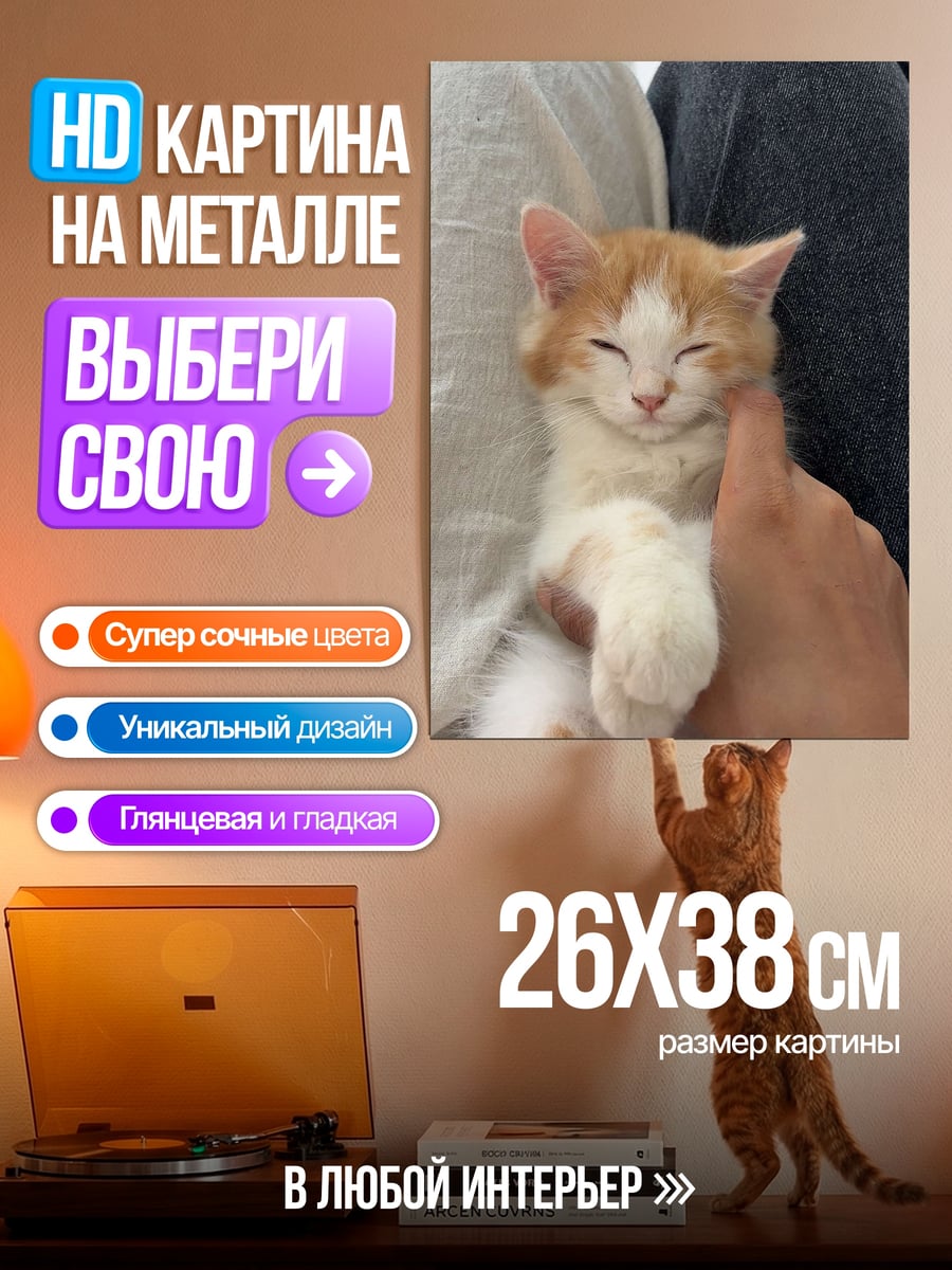 Картина на металле Рыжий котенок