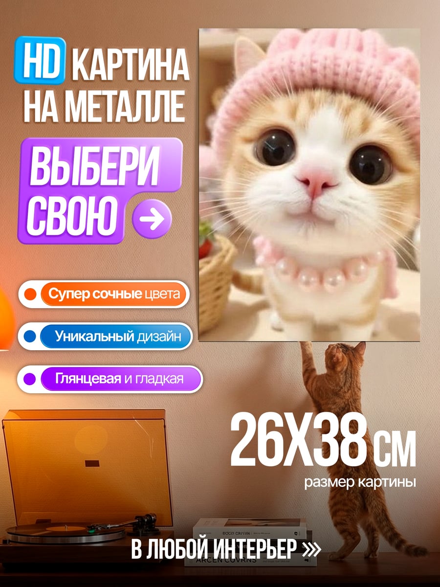 Картина на металле Котенок в шапке