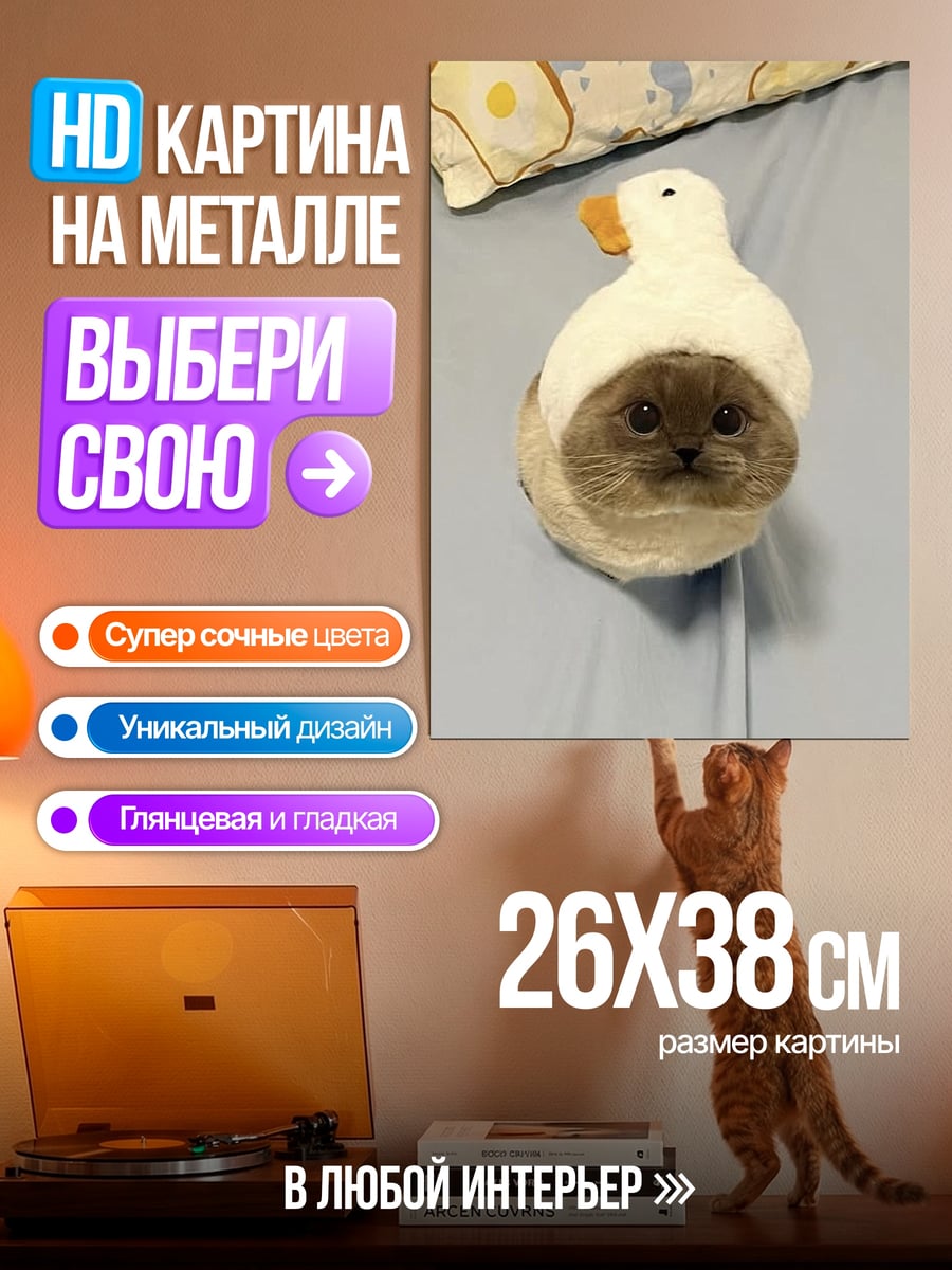 Картина на металле Кот в шапке утки