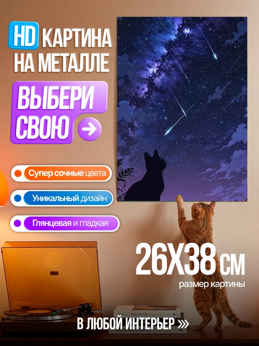 Картина на металле Кот смотрит на звезды