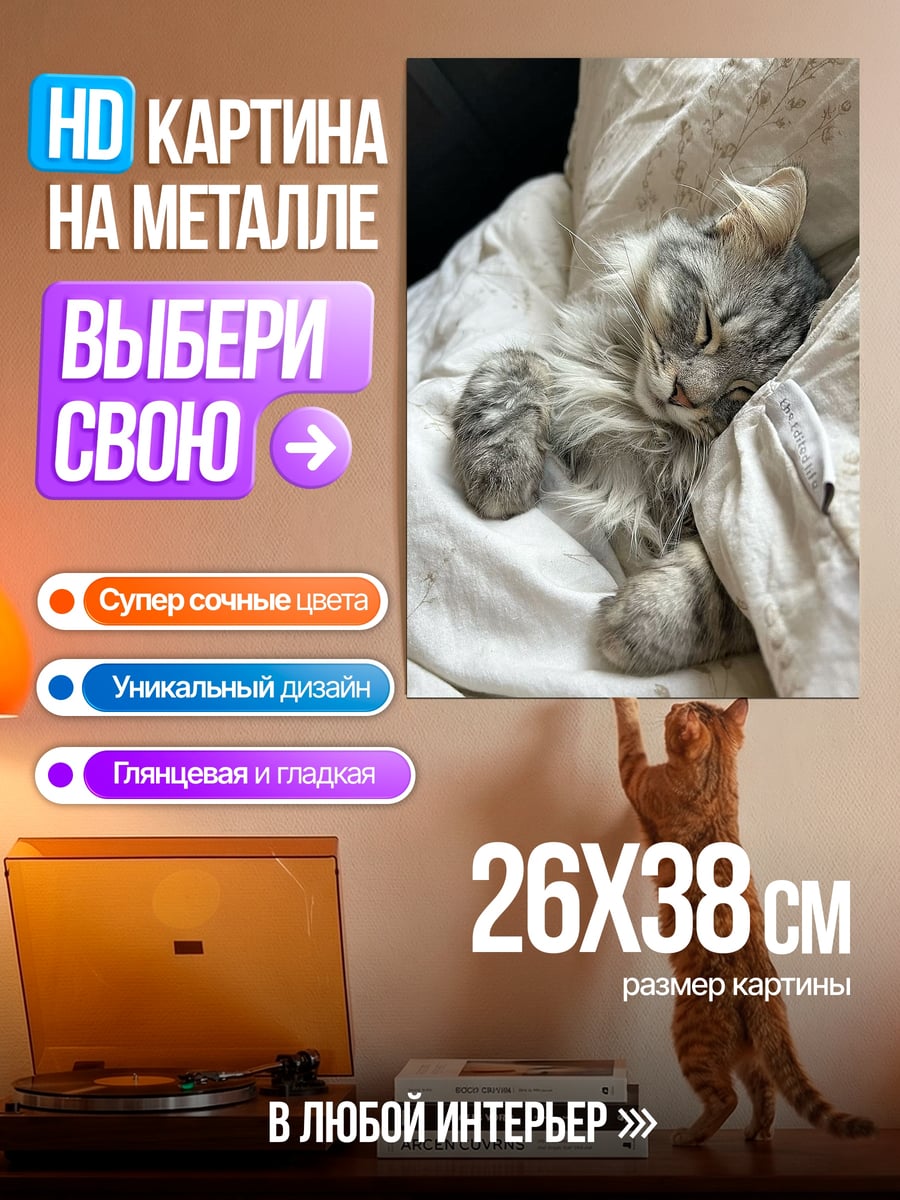Картина на металле Спящий кот на подушке