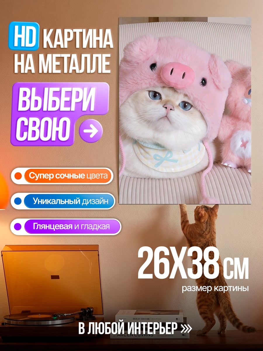 Картина на металле Кот в шапке свинки