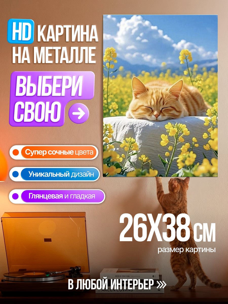Картина на металле Кот в поле цветов