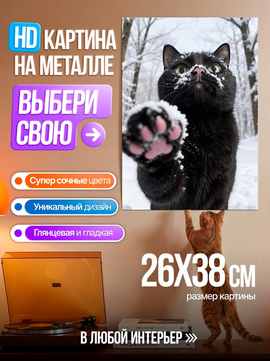 Картина на металле Черный кот в снегу