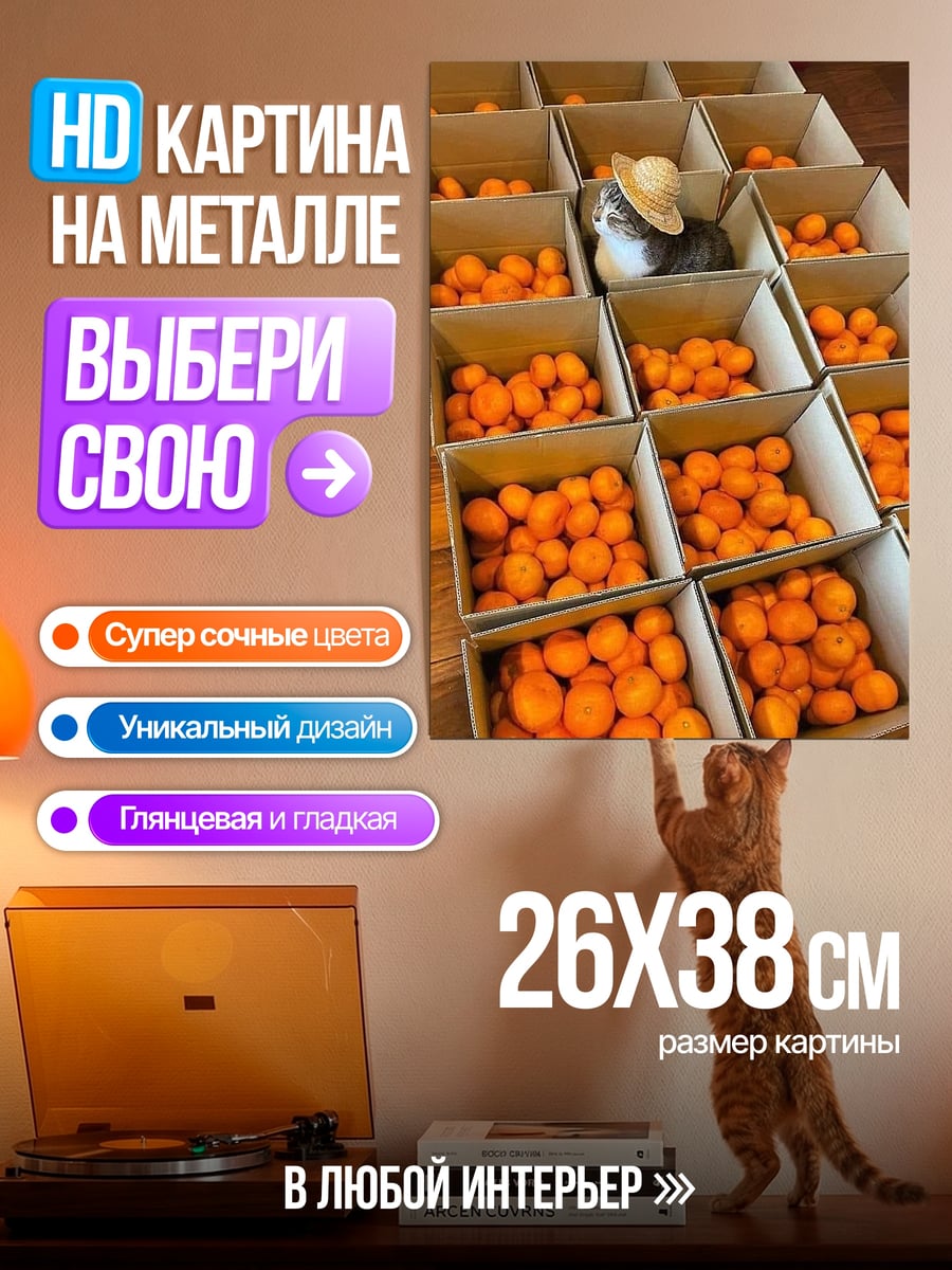 Картина на металле Кот в шляпе