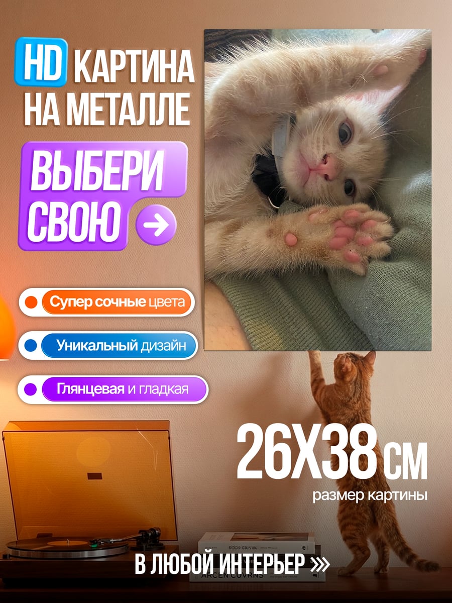 Картина на металле Рыжий котенок