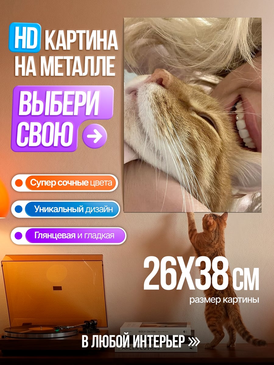Картина на металле Обнимашки с котом
