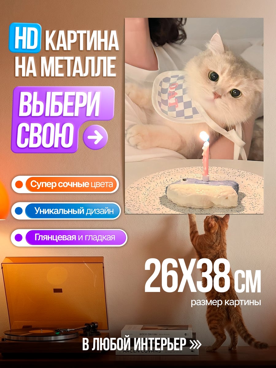 Картина на металле Кот с тортом