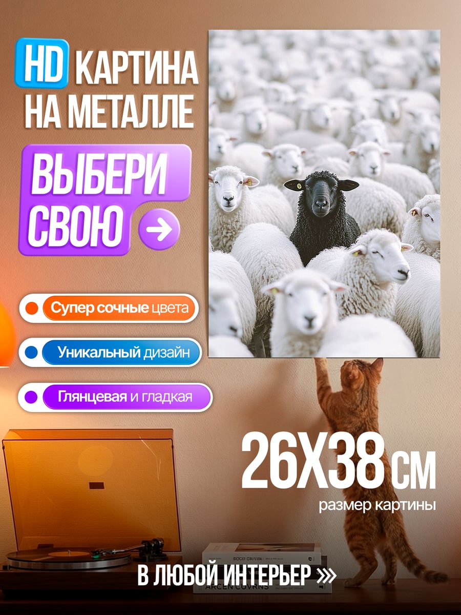 Картина на металле Черная овца стада