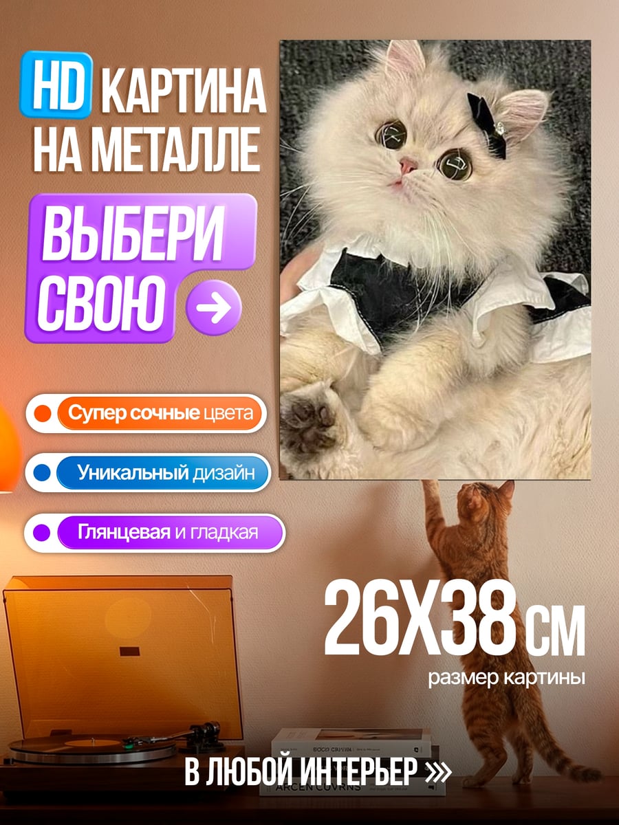 Картина на металле Кошка в костюме горничной