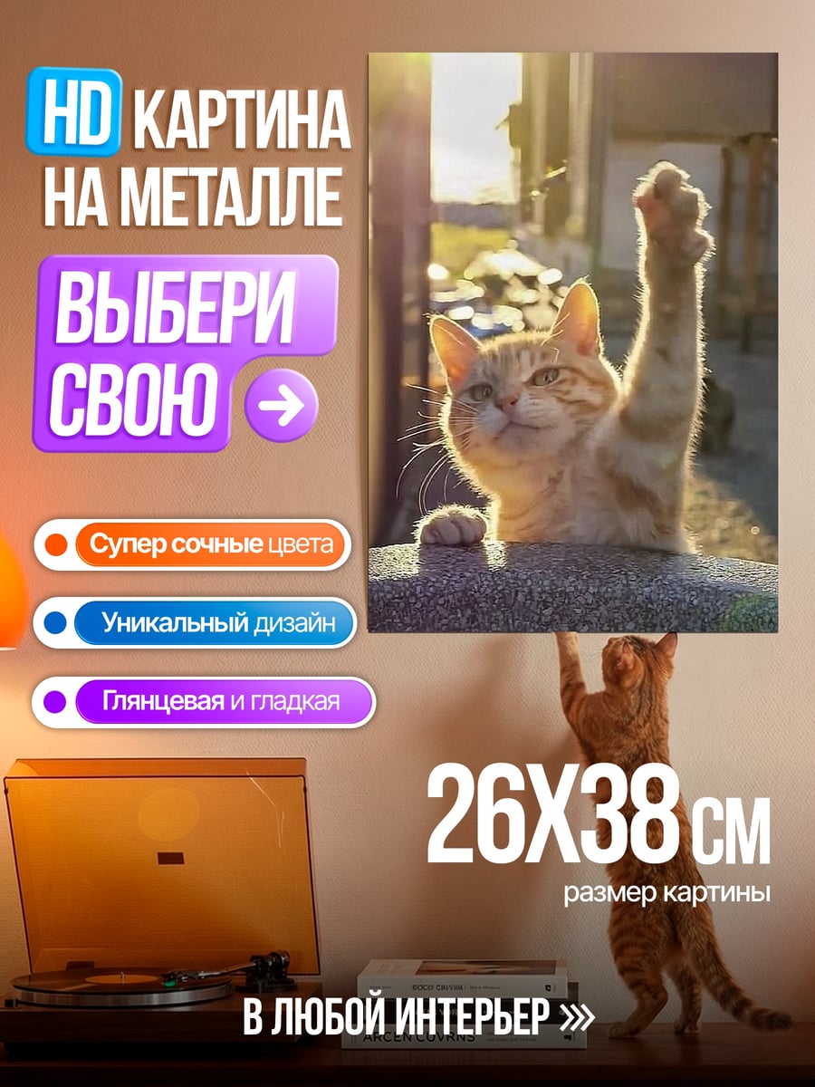Картина на металле Кот поднимает лапу