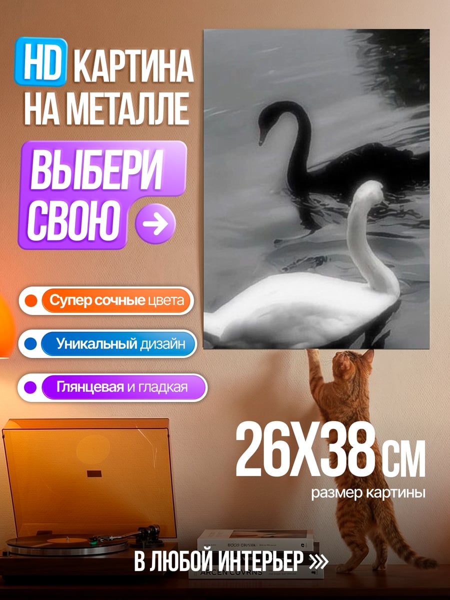 Картина на металле Черно-белые лебеди