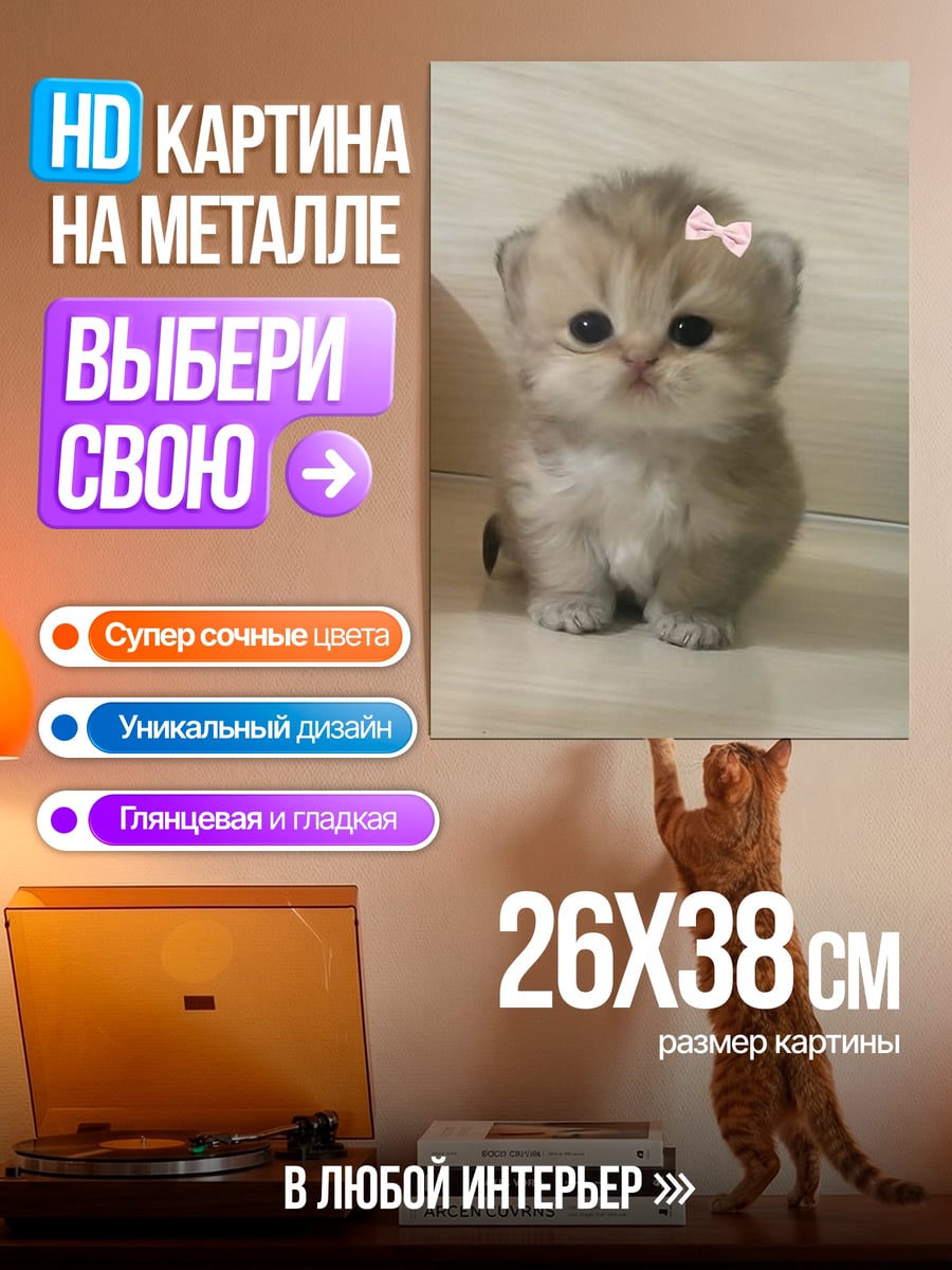 Картина на металле Милый котенок с бантиком