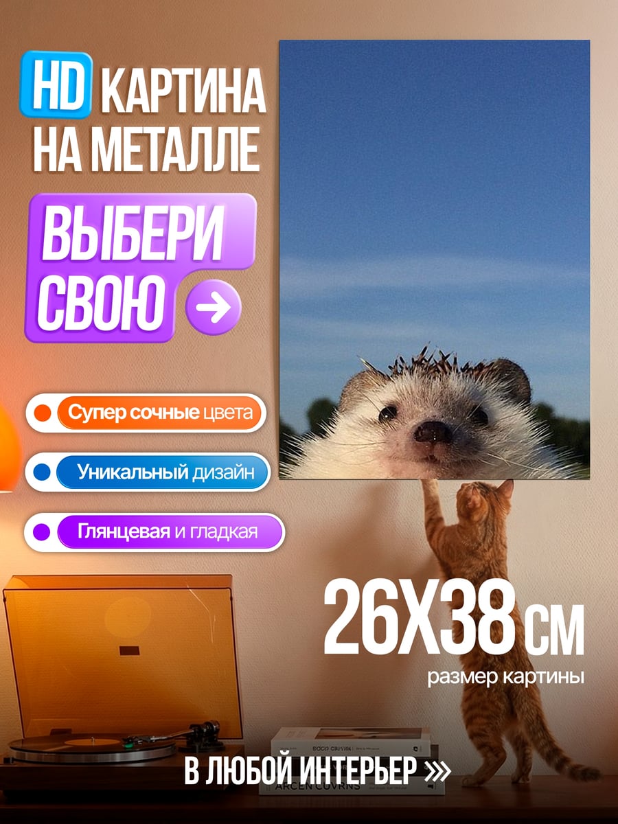 Картина на металле Ёжик на фоне неба