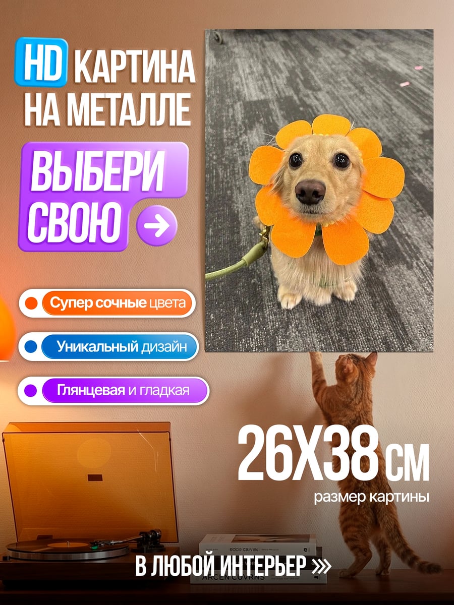 Картина на металле Собака в костюме цветка