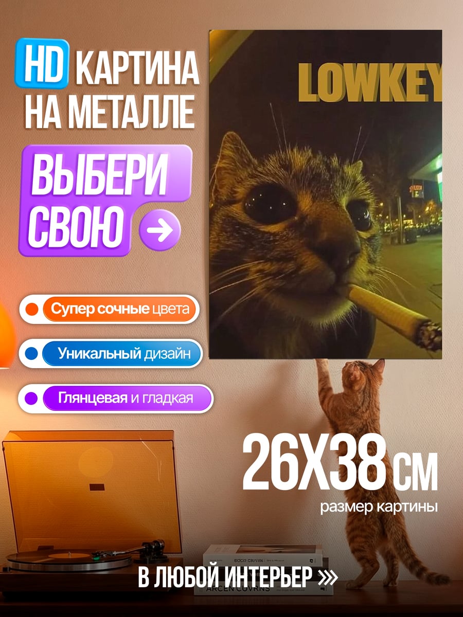 Картина на металле Кот курит ночью