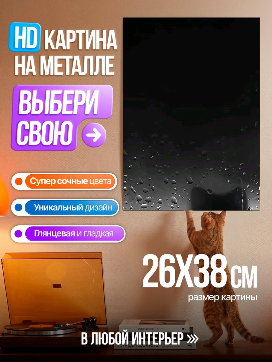 Картина на металле Черный кот в дожде
