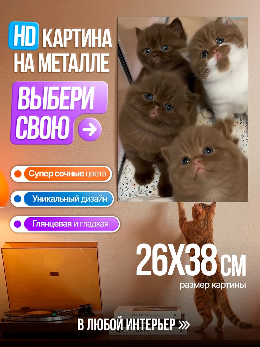 Картина на металле Четыре котенка