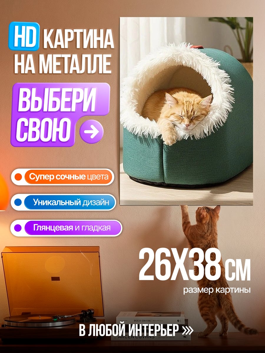 Картина на металле Рыжий кот в домике