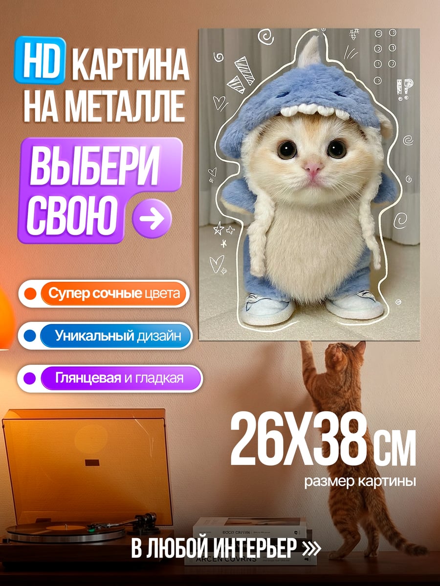 Картина на металле Кот в костюме акулы