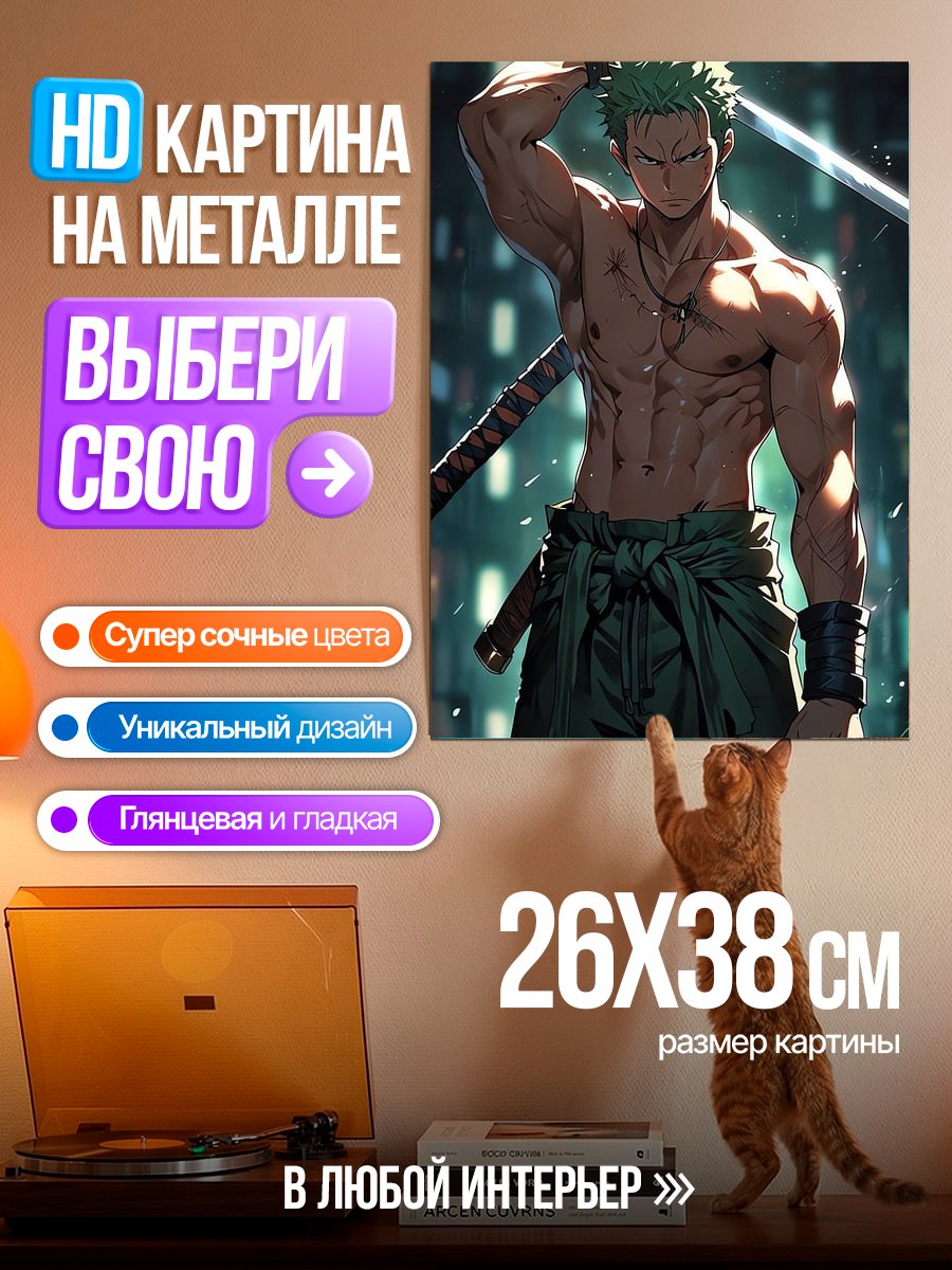 Картина на металле Зоро мечник Атака