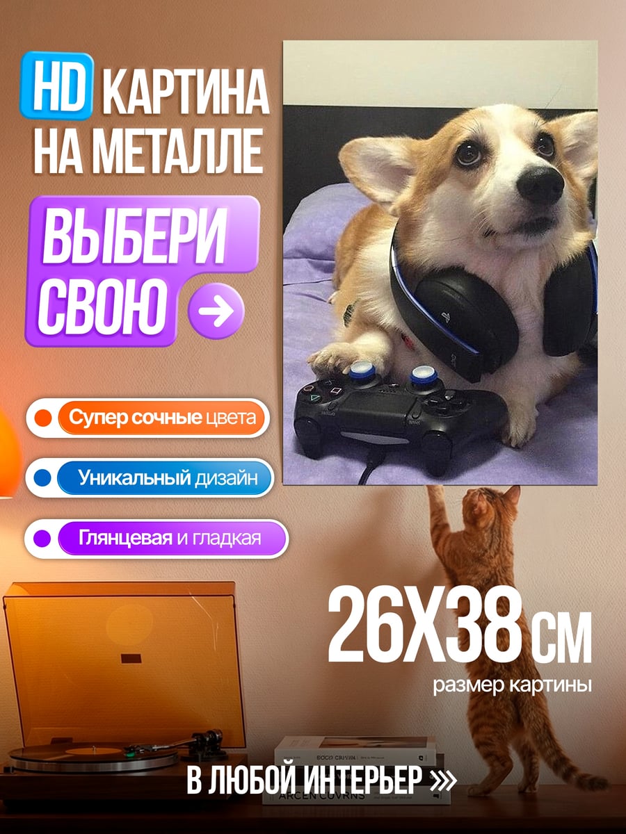 Картина на металле Корги геймер с наушниками