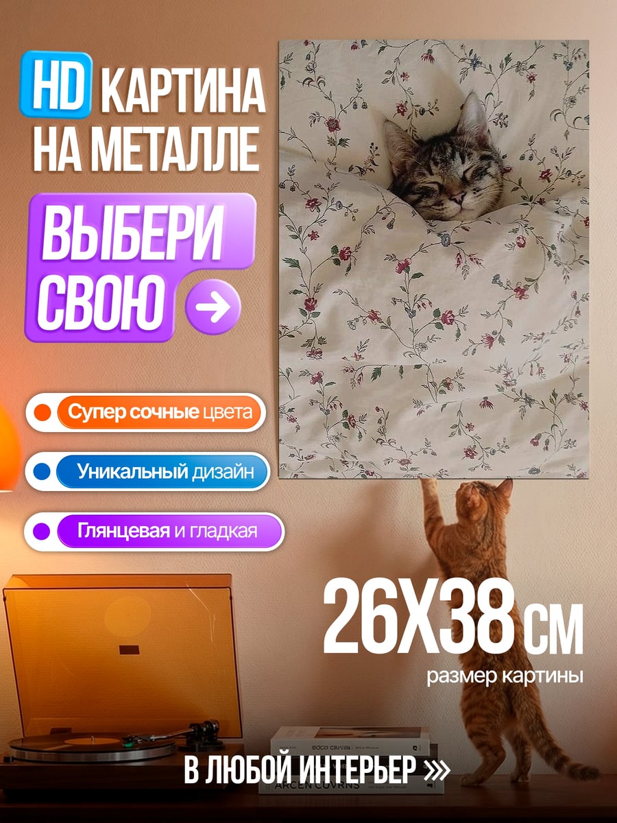 Картина на металле Кот в цветастом пледе