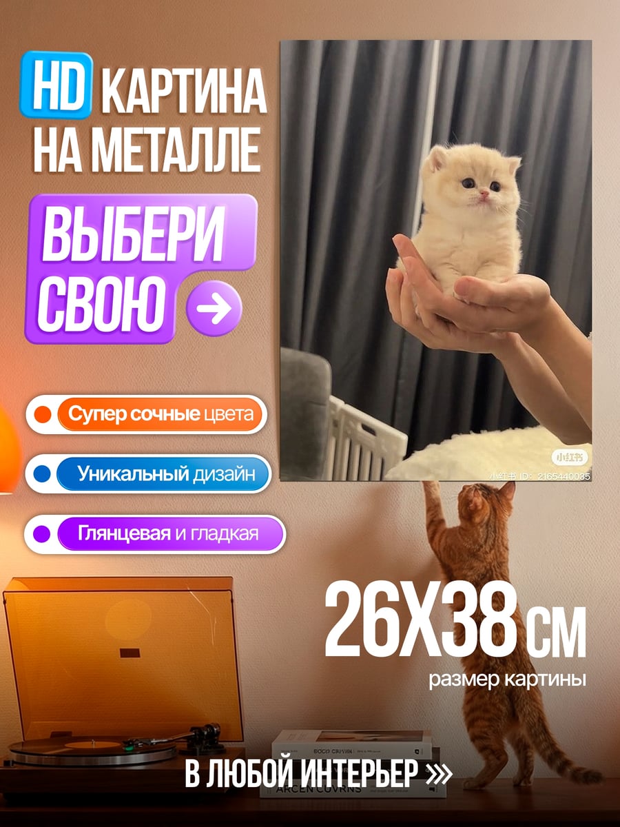 Картина на металле Милый котенок в руках