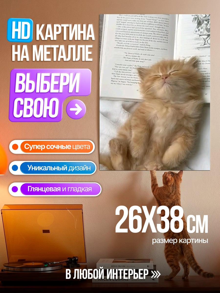 Картина на металле Спящий котенок на книге