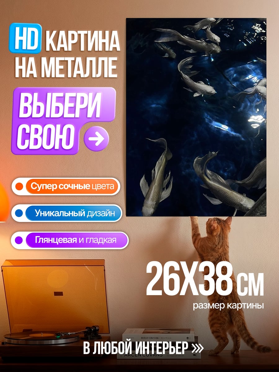 Картина на металле Стая рыб кои