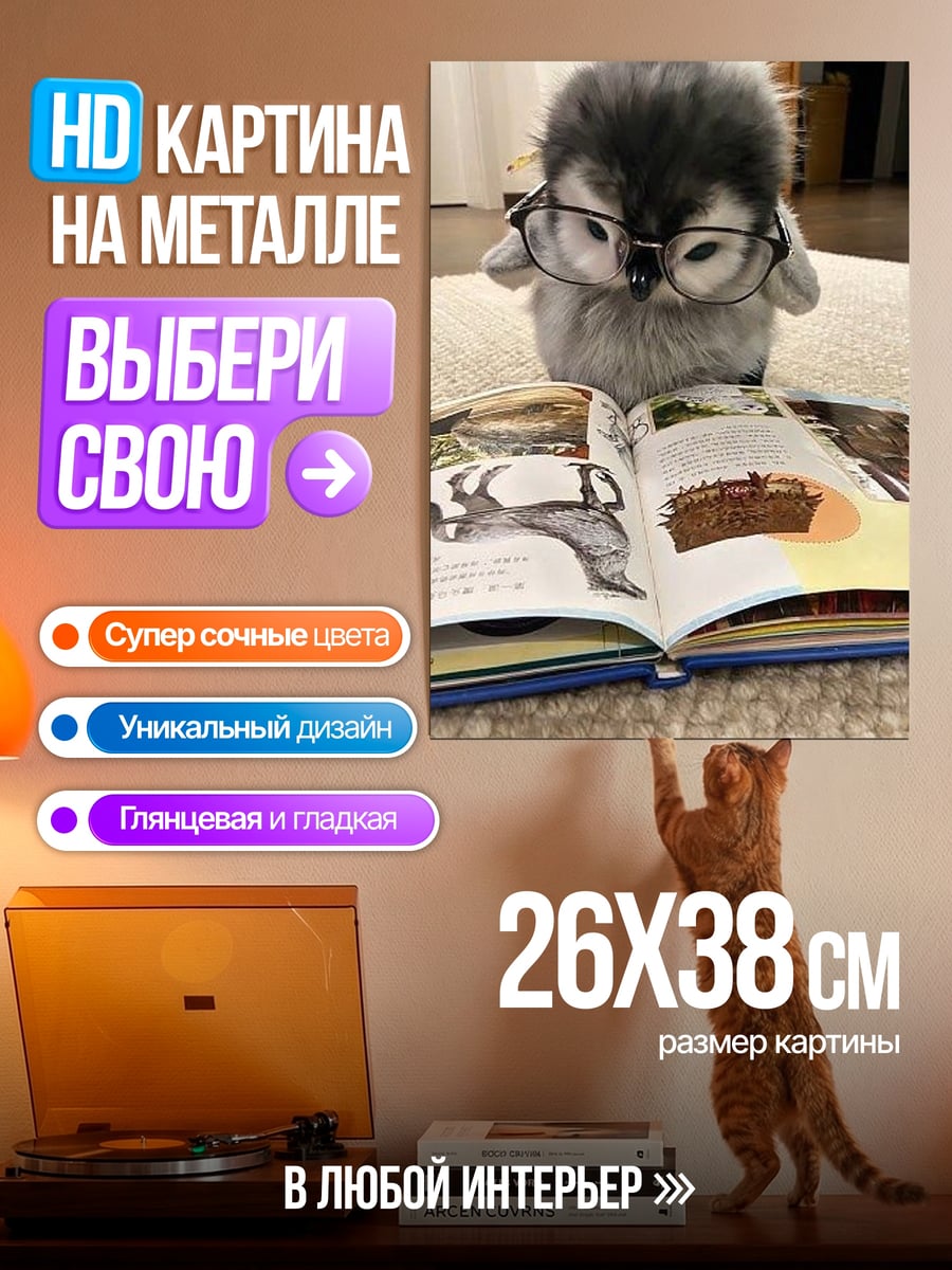 Картина на металле Сова в очках читает