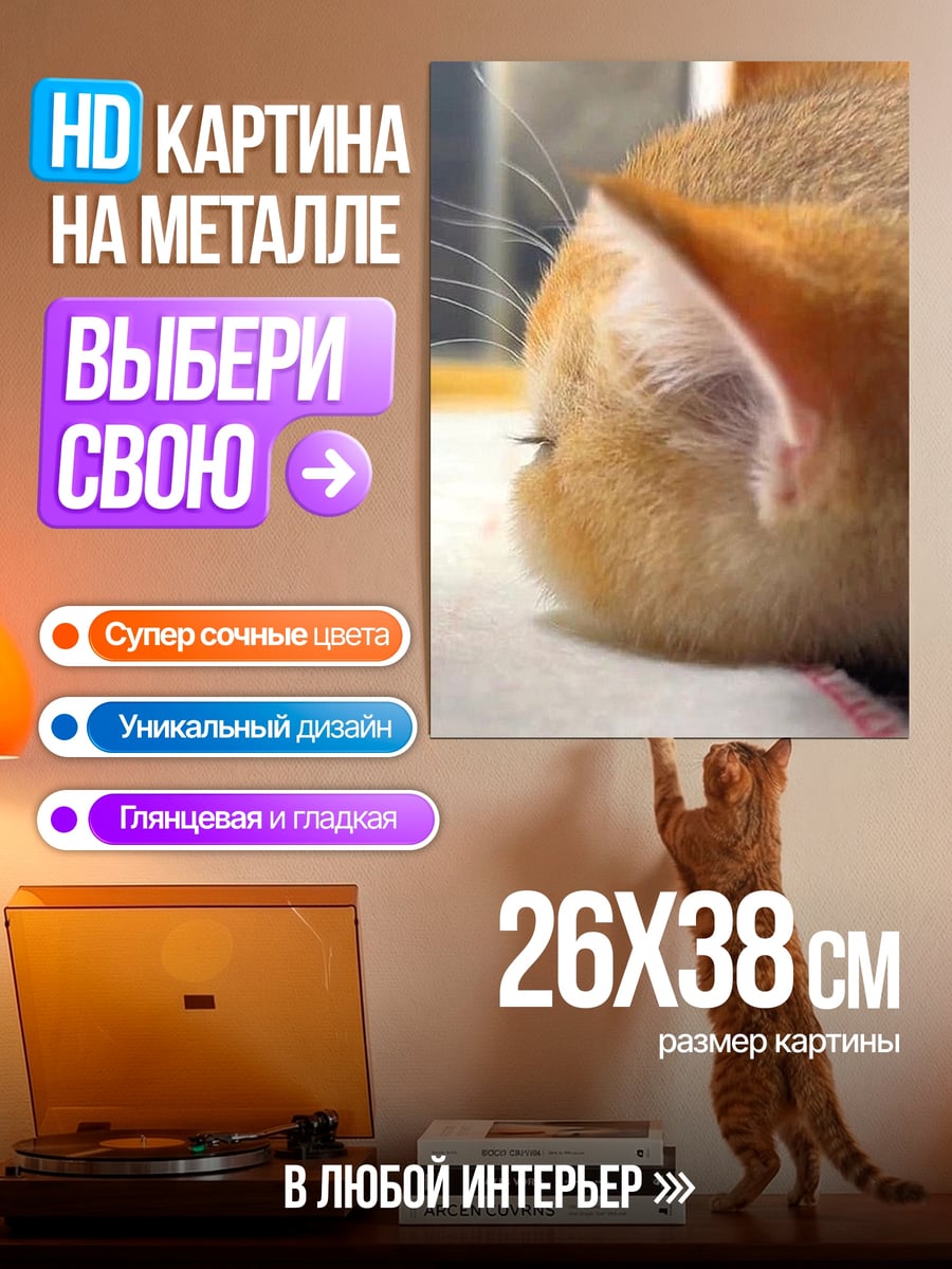 Картина на металле Котёнок с бантами