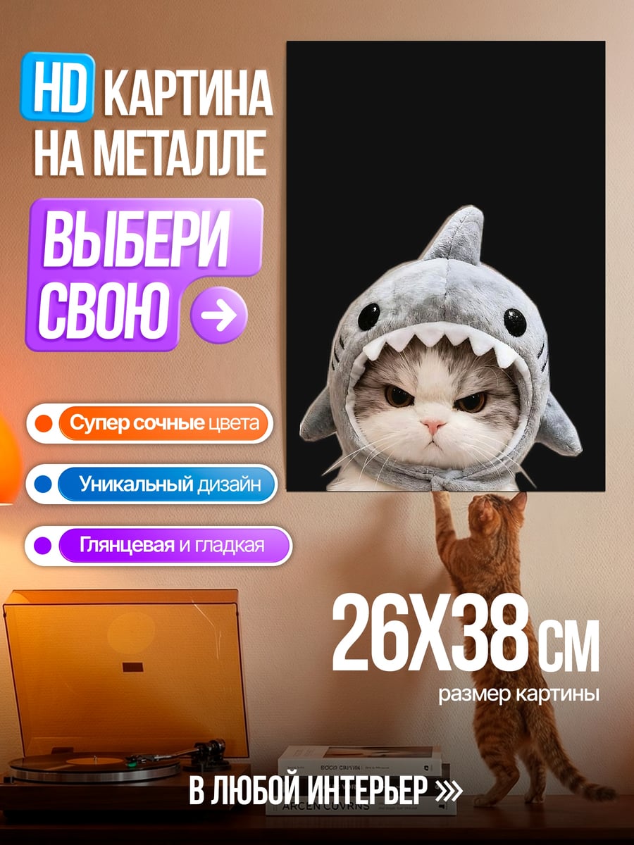 Картина на металле Кот в акуле