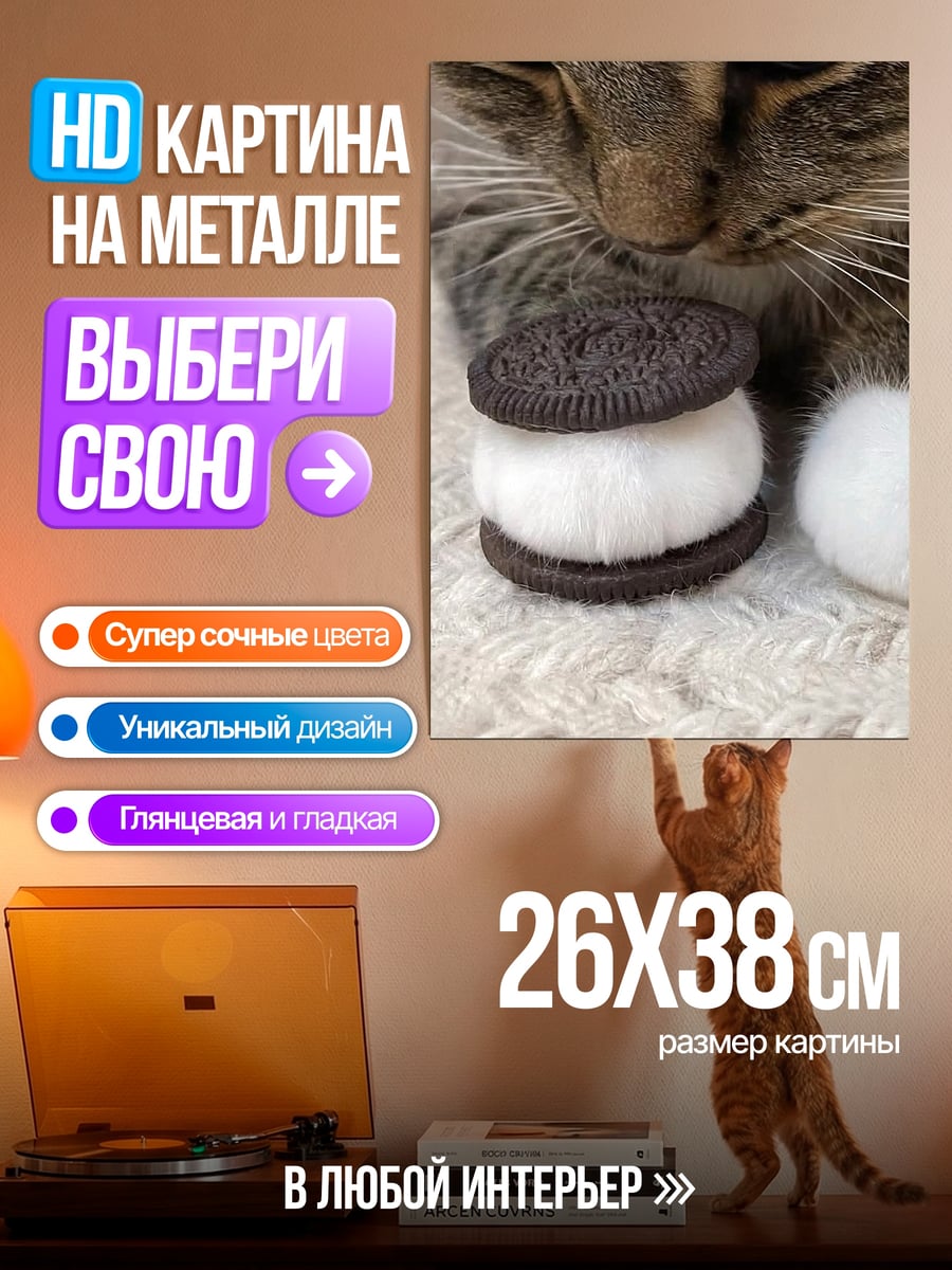 Картина на металле Кот с печеньем