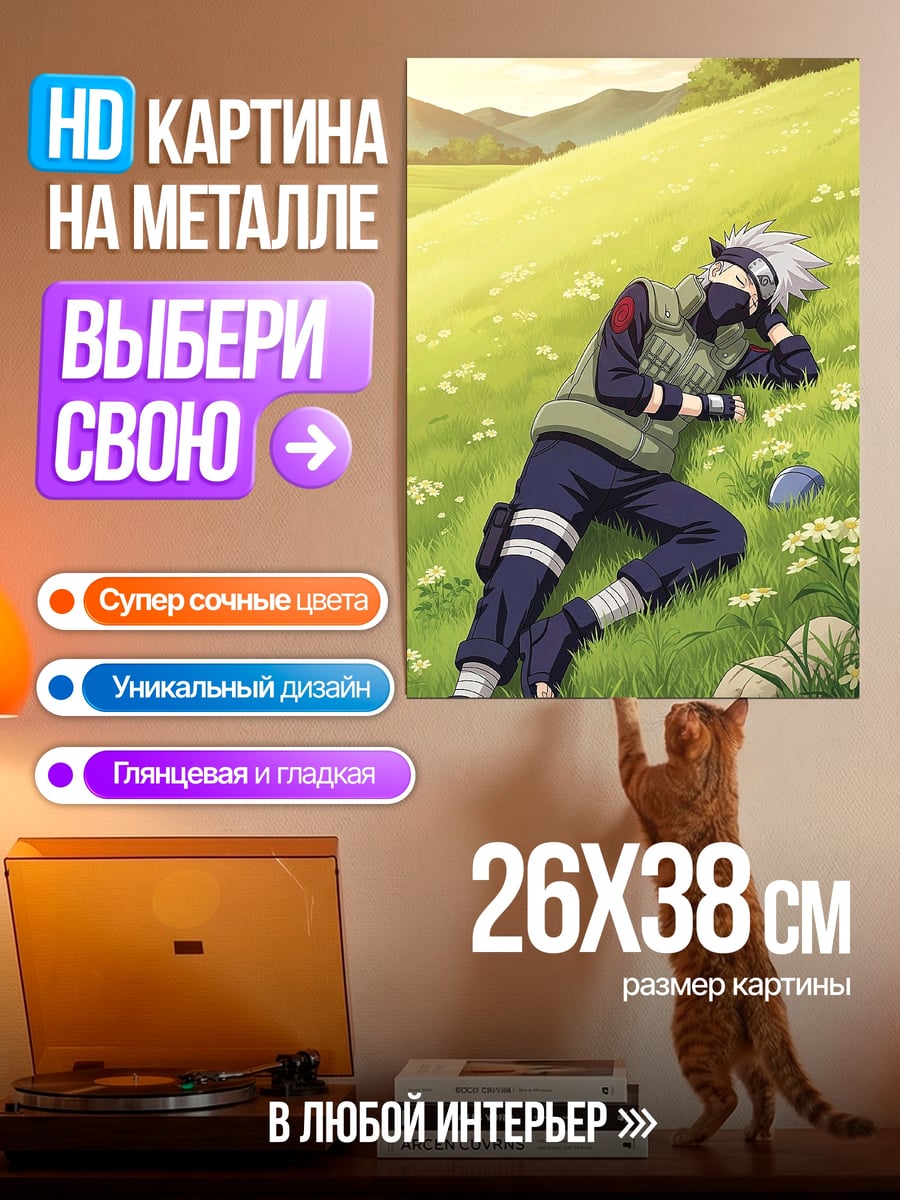 Картина на металле Какаши спит на лугу
