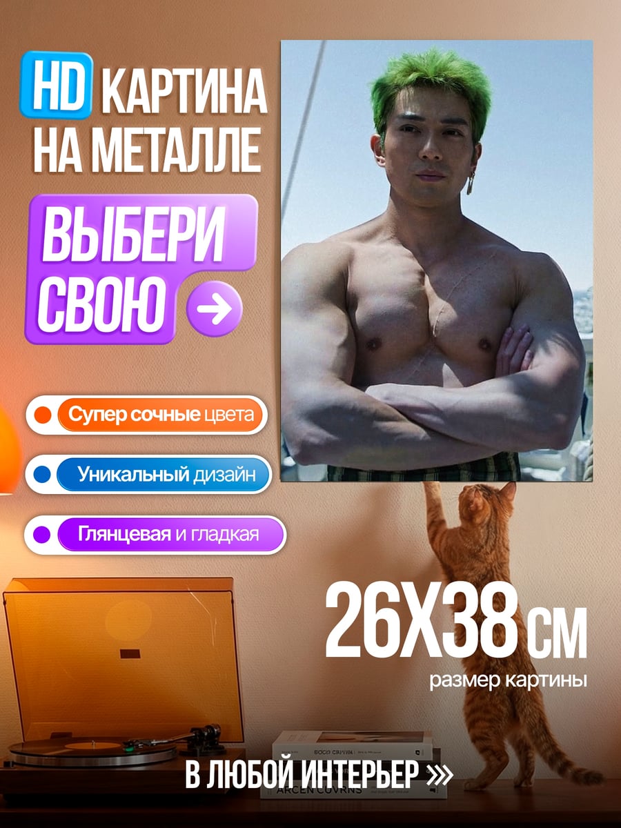Картина на металле Зеленый Зоро