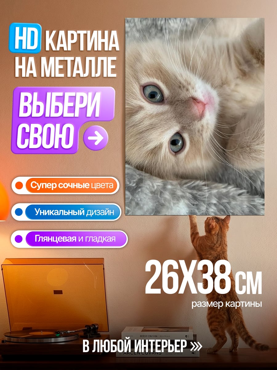 Картина на металле Пушистый котенок