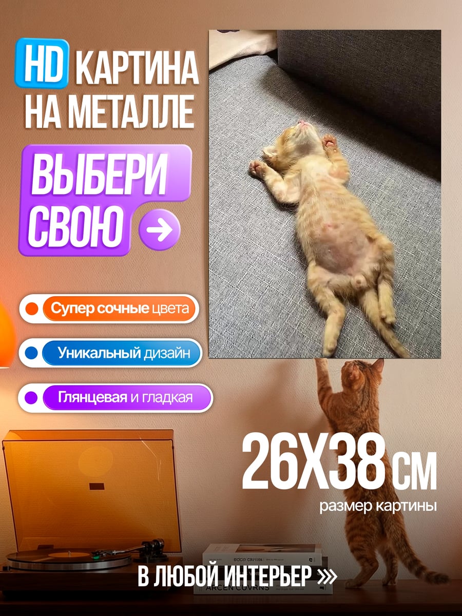 Картина на металле Спящий кот
