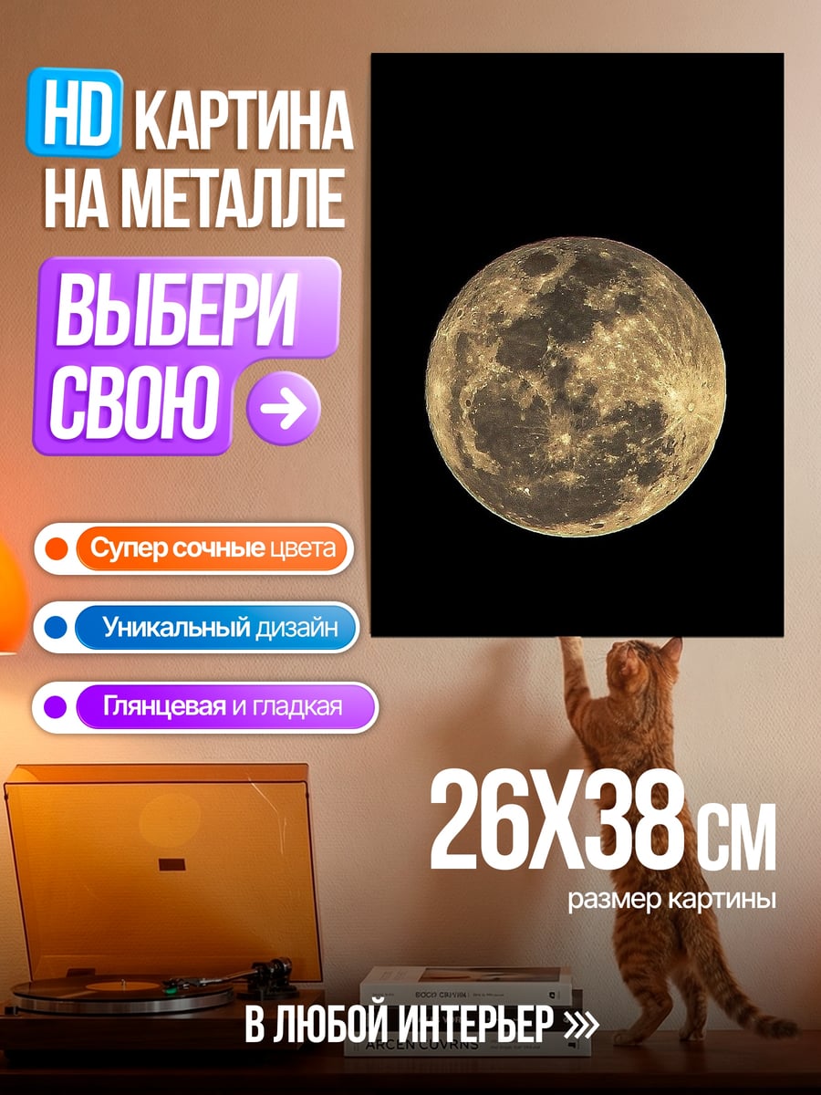 Картина на металле Полная луна ночью