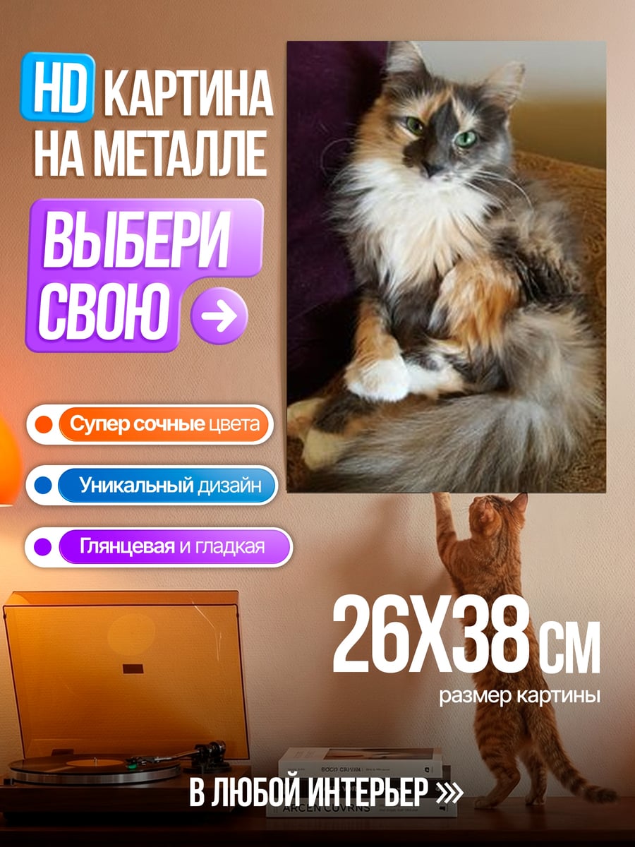 Картина на металле Кошка на диване