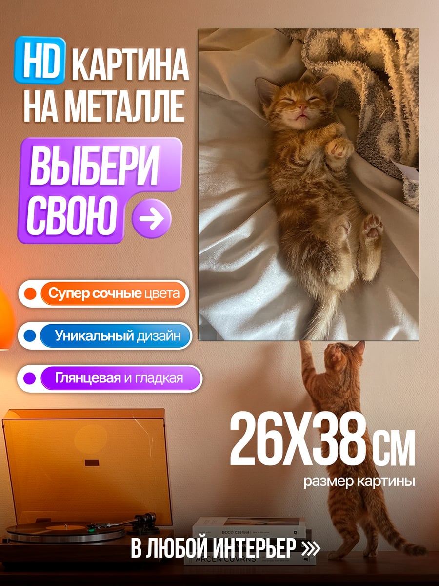 Картина на металле Рыжий котенок спит